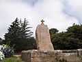 Pleumeur-Bodou Menhir de Saint-Uzec 01