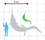 Archivo:Prionosuchus scale