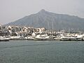 Puertobanus