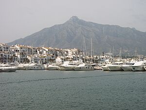 Archivo:Puertobanus