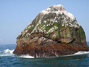 Archivo:Rockall - the most difficult island in the world to sleep on - geograph.org.uk - 1048828