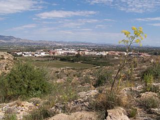S. Isidro de Albatera-5.JPG