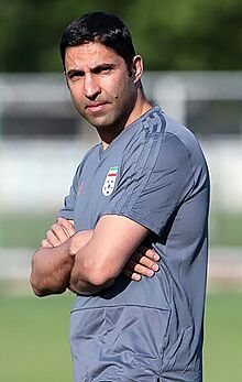 Vahid Hashemian 3144991 (cropped).jpg