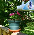 Watering jug make from empty container