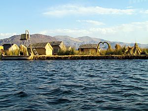 Archivo:102 Uros Islands of Reeds Lake Titicaca Peru 3246 (14995835459)