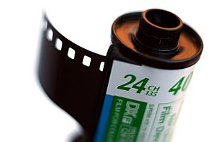 Archivo:135 fuji film macro