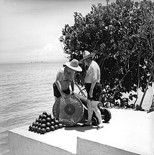 Archivo:1954. Carlos Raúl Villanueva y Alexander Calder - Alfredo Boulton (1)