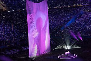 Archivo:A Prince projection shows up at the Super Bowl LII Half Time Show, Minneapolis MN (39407983344)