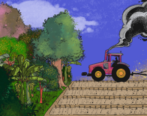 Archivo:A preservação ambiental através da demarcação das terras indígenas