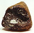 Allan Hills 81005, lunar meteorite