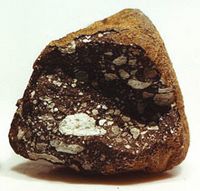 Archivo:Allan Hills 81005, lunar meteorite