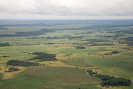 Beni Department aérea 25.jpg