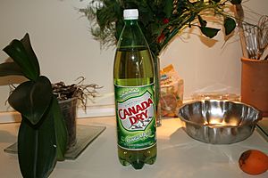 Archivo:Bottle of Canada Dry