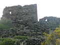 Bufalaranya03