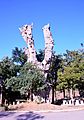 Camarena-paisajeUrbano (2017)3723