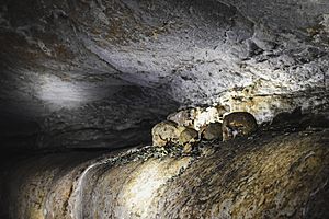 Archivo:Caverna de Quiocta