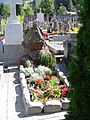 Chamonix-Mont-Blanc -- Cimetière (Lionel Terray)