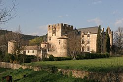 Chateau Allemagne en Provence IMG 9064 touched.jpg
