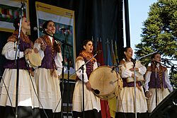 Archivo:Dia del Inmigrante Buenos Aires 2010 - Galicia 02