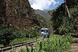 Archivo:Diesel Railcar of Peru 04