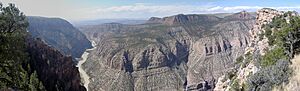 Archivo:DinosaurNM1Panorama