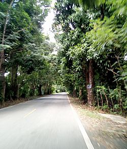 Entering Casa Blaca Sector in Pitahaya, Luquillo, Puerto Rico.jpg