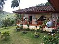 Finca Risaralda Caldas (1)
