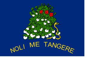 Archivo:Flag of Alabama (1861, reverse)