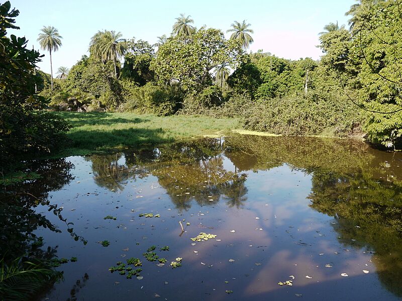 Gambia02AbukoLaminLodge015 (5400026423)