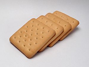 Archivo:Hardtack biscuits