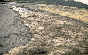 Archivo:Hot lahar at Santiaguito