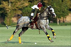 Iranian girl polo player.jpg