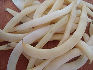 Archivo:Judías blancas tiernas (Phaseolus vulgaris)