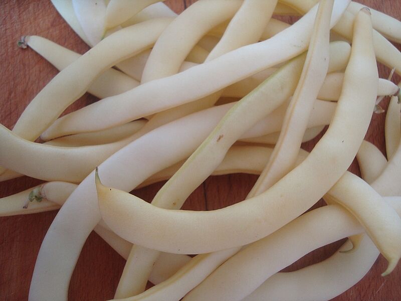 Judías blancas tiernas (Phaseolus vulgaris)