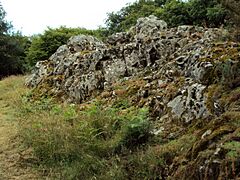 Le site de Quelfennec à Plussulien - Carrière de pierre néolithique - Côte d'Armor (22) - Juillet 2011 - Photo 02