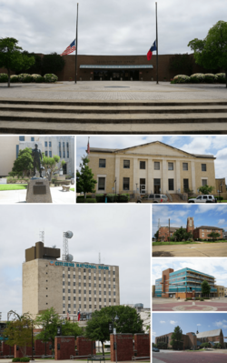 Longview Montage Collage.png