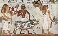 Maler der Grabkammer des Amenemhêt 001