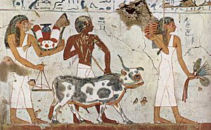 Archivo:Maler der Grabkammer des Amenemhêt 001