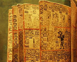Archivo:Mexico - Museo de antropologia - Livre maya