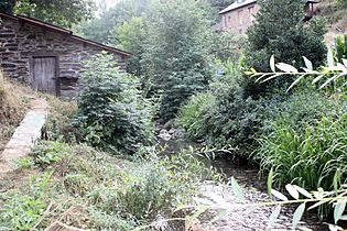 Molino del arroyo en Bouzas