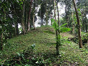 Archivo:Mosnticulo de los anranjos