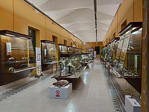 Archivo:Museo de animales