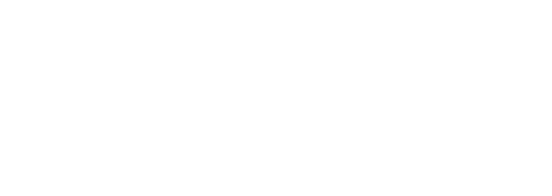 Nights into dreams simple logo