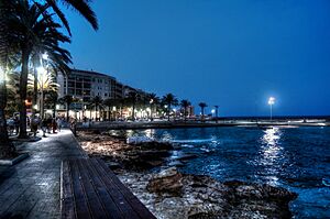 Archivo:Paseo marítimo Torrevieja