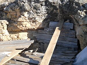 Archivo:Pinilla del Valle yacimiento los Calveros Cueva Buena Pinta