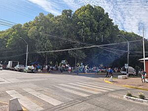 Archivo:Plaza de Renaico