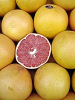 Archivo:Pomelos - Grapefruits
