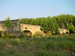 Archivo:Puente romano en Talamanca de Jarama