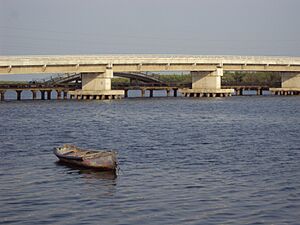 Archivo:Puente y Canoa