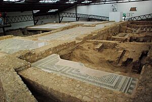 Archivo:Quintanilla de la Cueza Villa romana Tejada Habitación 18 Mosaico Sogueado 001